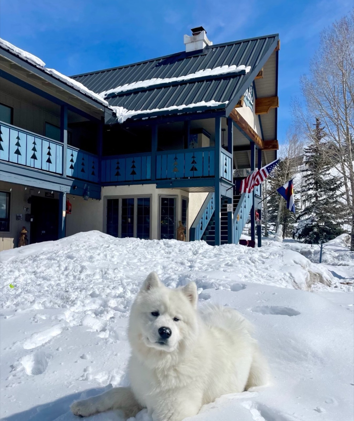 Winter at the Inn
