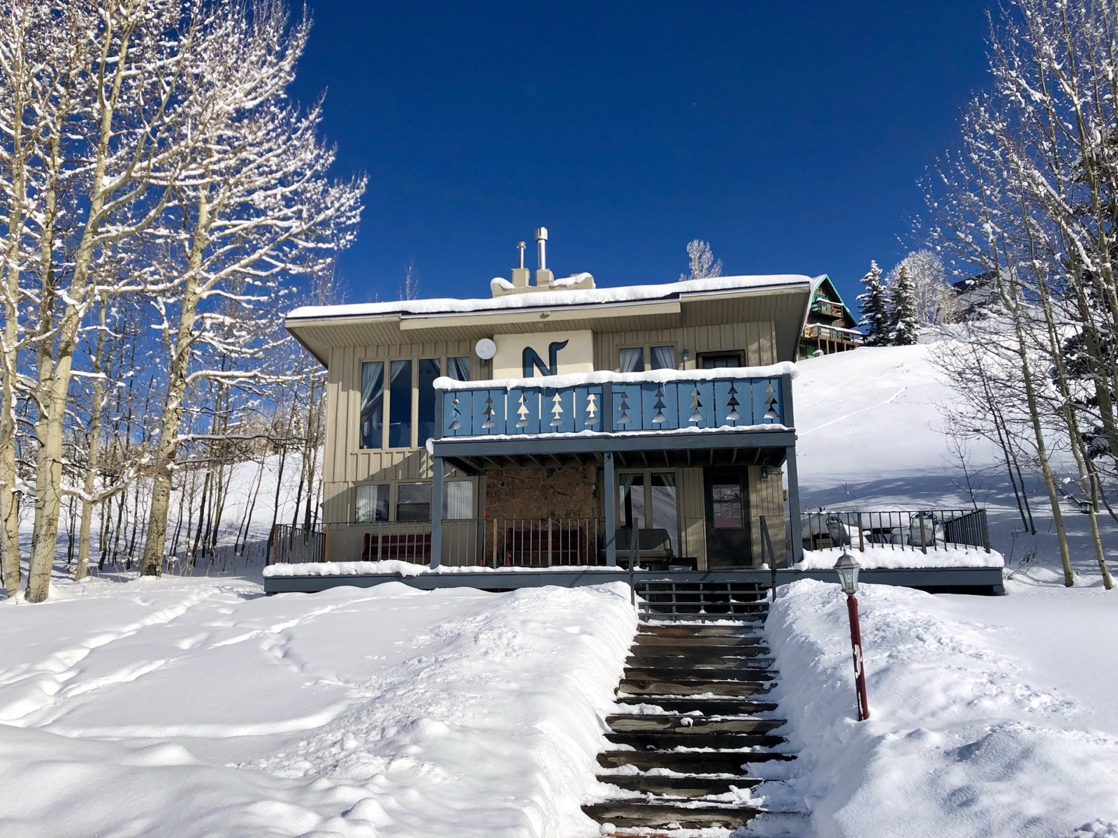 Front steps under snow